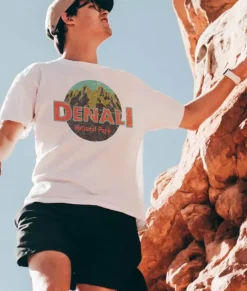 Men Nayked Apparel T-Shirts>Men'S Ridiculously Soft Midweight Graphic Tee | Denali National Park